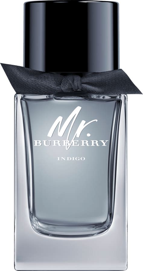 mr burberry burberry notino|Burberry Mr. Burberry Indigo Eau de Toilette for men .